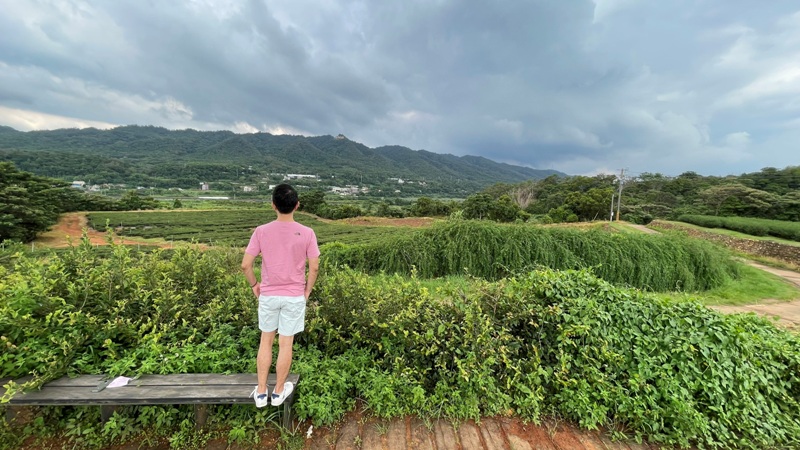 tongluoteafactory32 銅鑼-銅鑼茶廠 日式茶廠 山景茶園滿是緑意