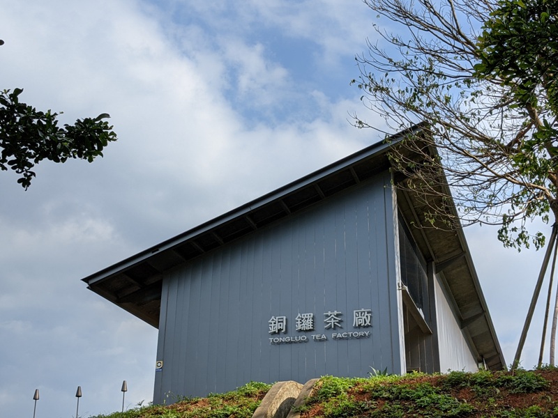 tongluoteafactory36 銅鑼-銅鑼茶廠 日式茶廠 山景茶園滿是緑意