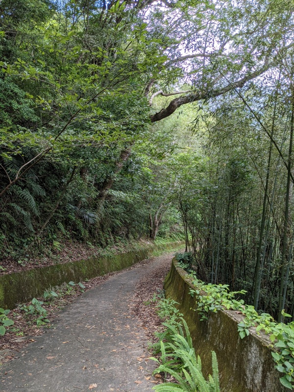 waterfallfall2401 復興-找不到的幽靈瀑布與有點人工但震撼好玩的水濂洞瀑布