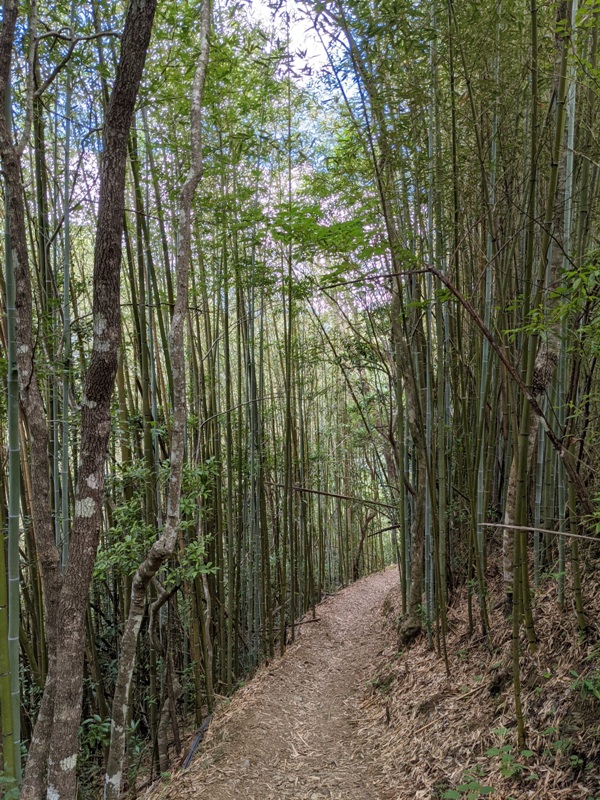 waterfallfall2402 復興-找不到的幽靈瀑布與有點人工但震撼好玩的水濂洞瀑布