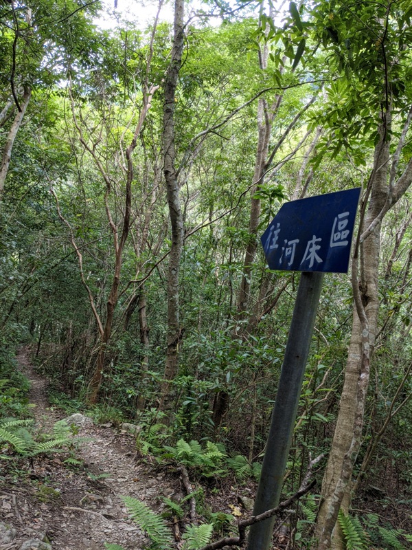 waterfallfall2403 復興-找不到的幽靈瀑布與有點人工但震撼好玩的水濂洞瀑布