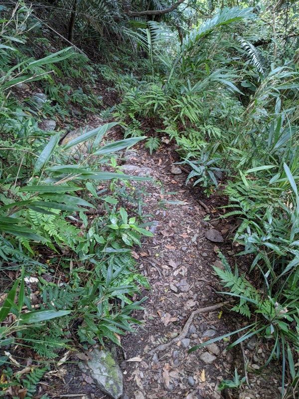 waterfallfall2404 復興-找不到的幽靈瀑布與有點人工但震撼好玩的水濂洞瀑布