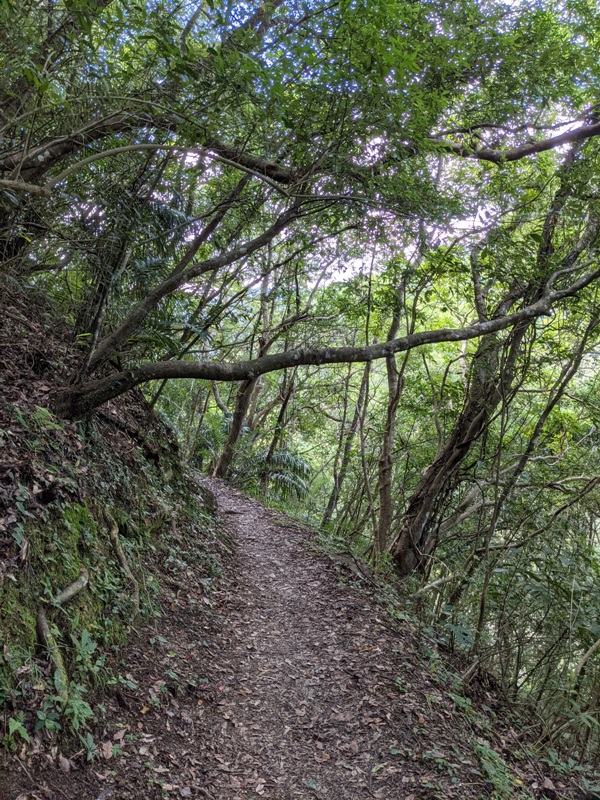 waterfallfall2405 復興-找不到的幽靈瀑布與有點人工但震撼好玩的水濂洞瀑布