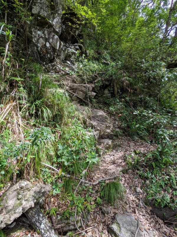 waterfallfall2407 復興-找不到的幽靈瀑布與有點人工但震撼好玩的水濂洞瀑布