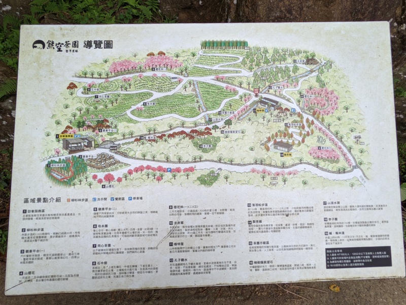 bearempty03 三峽-熊空茶園 遠離城市探詢茶園之美