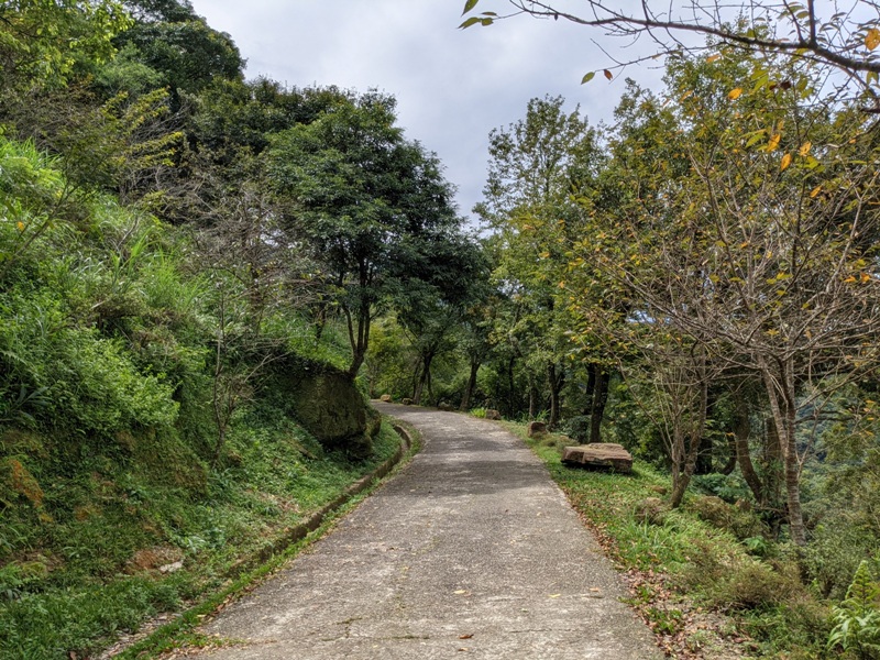 bearempty04 三峽-熊空茶園 遠離城市探詢茶園之美