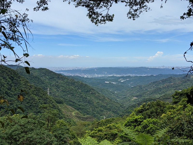 bearempty05 三峽-熊空茶園 遠離城市探詢茶園之美