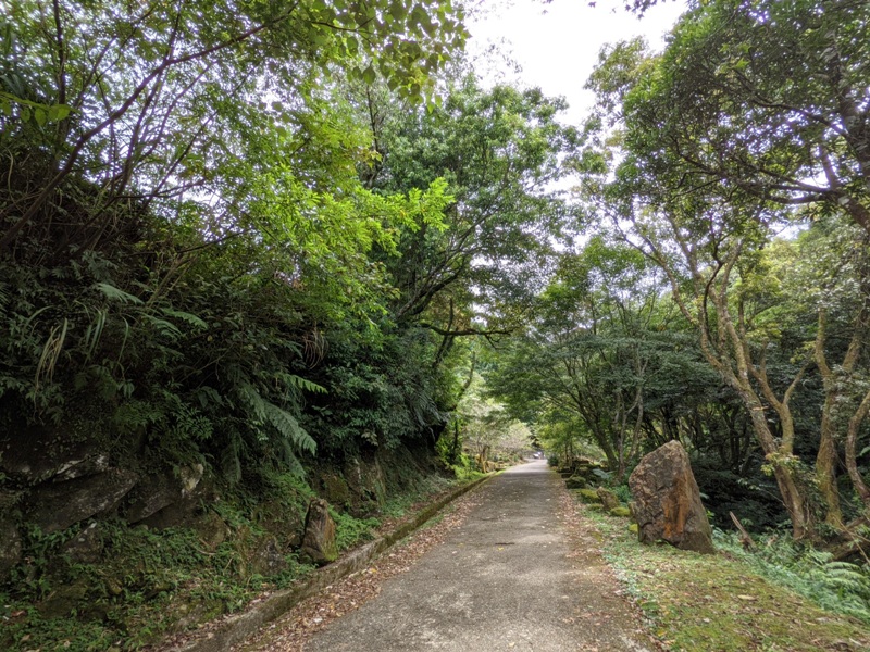 bearempty12 三峽-熊空茶園 遠離城市探詢茶園之美