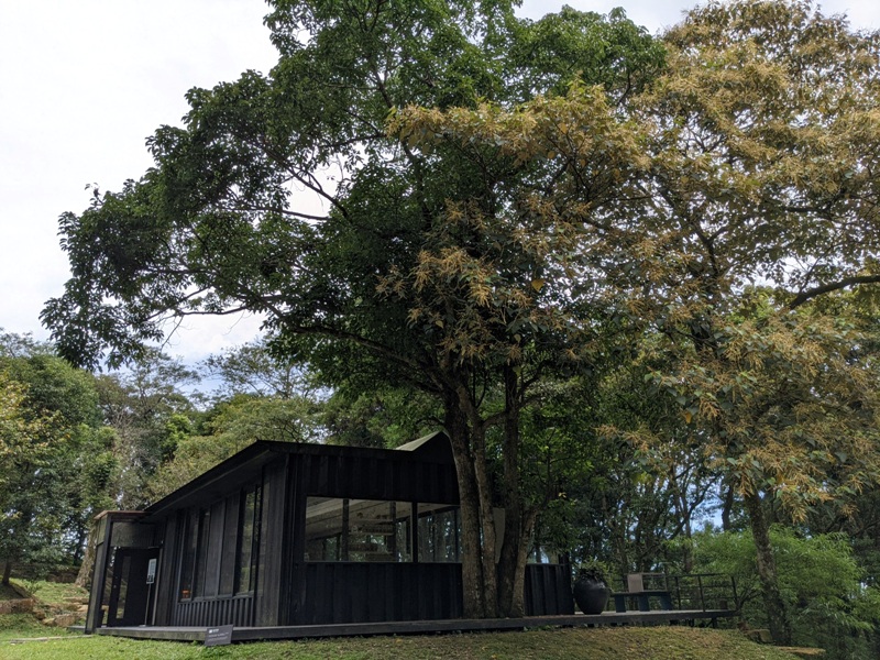 bearempty14 三峽-熊空茶園 遠離城市探詢茶園之美