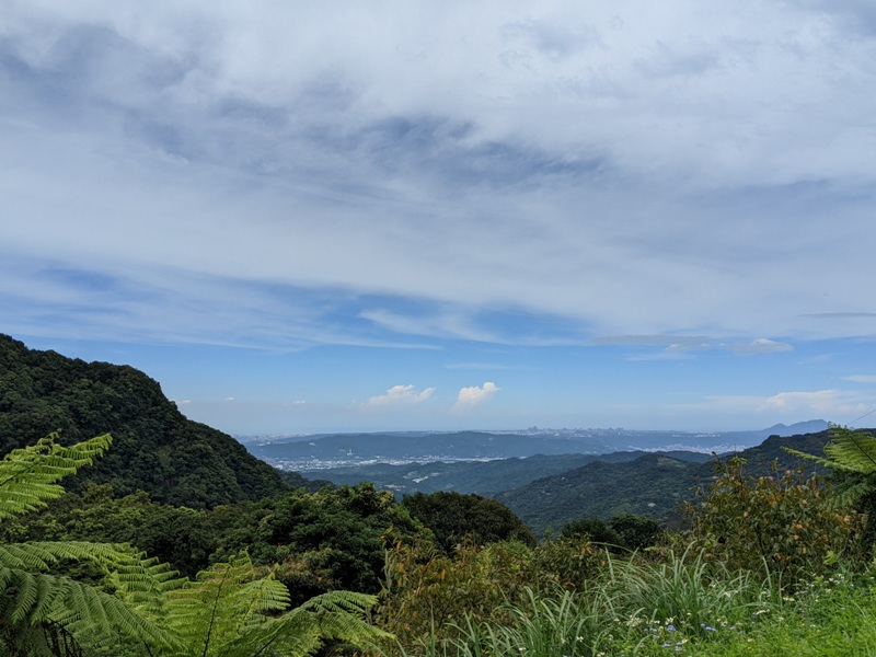 bearempty22 三峽-熊空茶園 遠離城市探詢茶園之美
