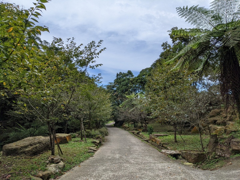 bearempty23 三峽-熊空茶園 遠離城市探詢茶園之美