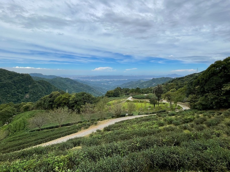 bearempty26 三峽-熊空茶園 遠離城市探詢茶園之美