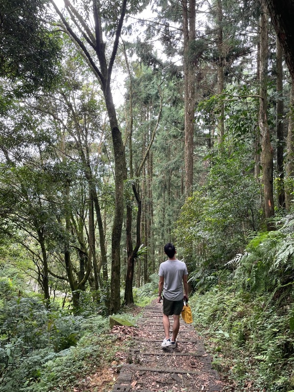 bearempty31 三峽-熊空茶園 遠離城市探詢茶園之美