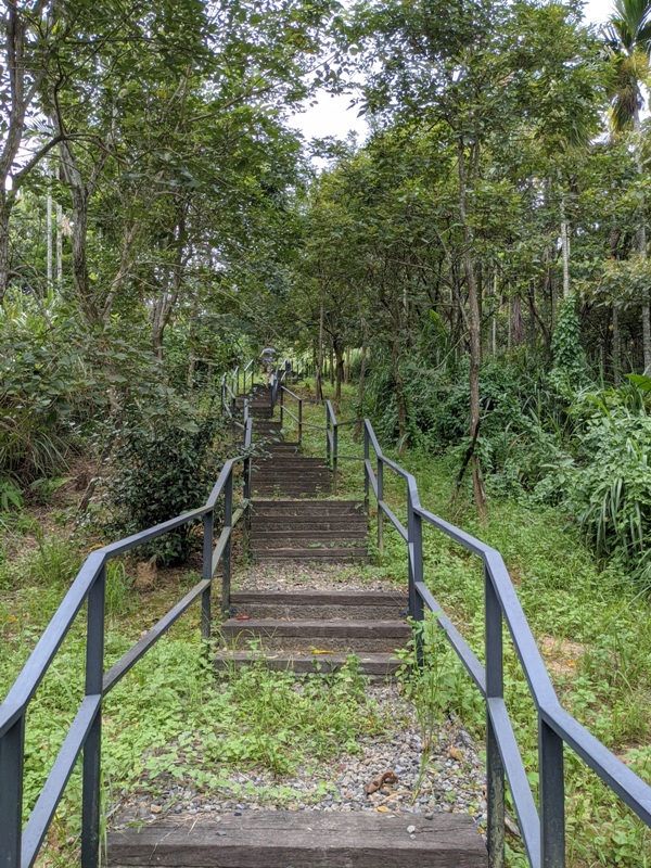 daliao20 三峽-大寮茶文館 最日式最清幽