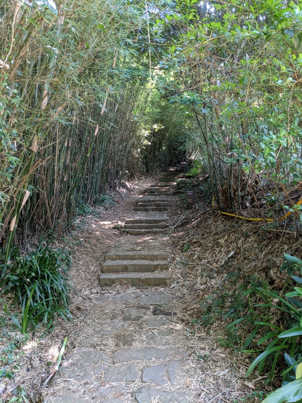 facemountain015808 陽明山-向天池向天山面天山 走一段台北大縱走