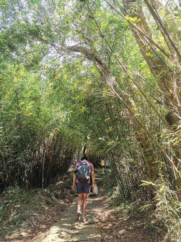 facemountain015809 陽明山-向天池向天山面天山 走一段台北大縱走