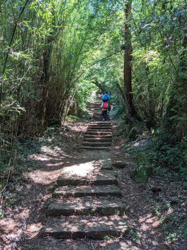facemountain015811 陽明山-向天池向天山面天山 走一段台北大縱走