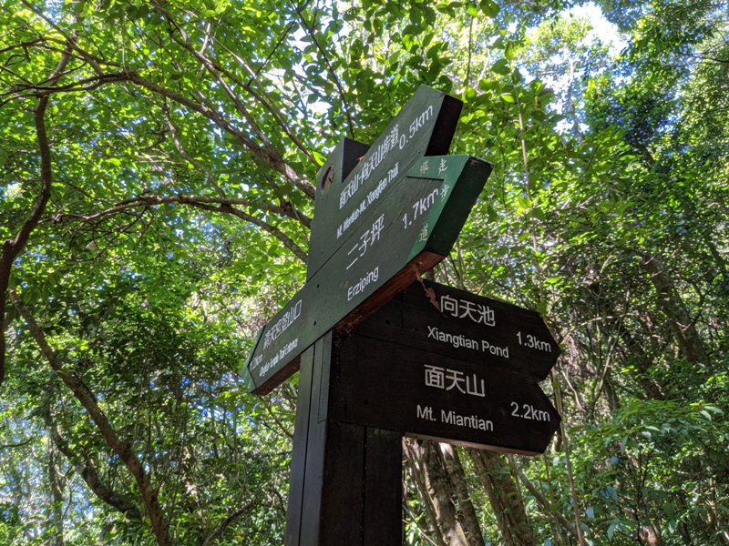 facemountain015812 陽明山-向天池向天山面天山 走一段台北大縱走