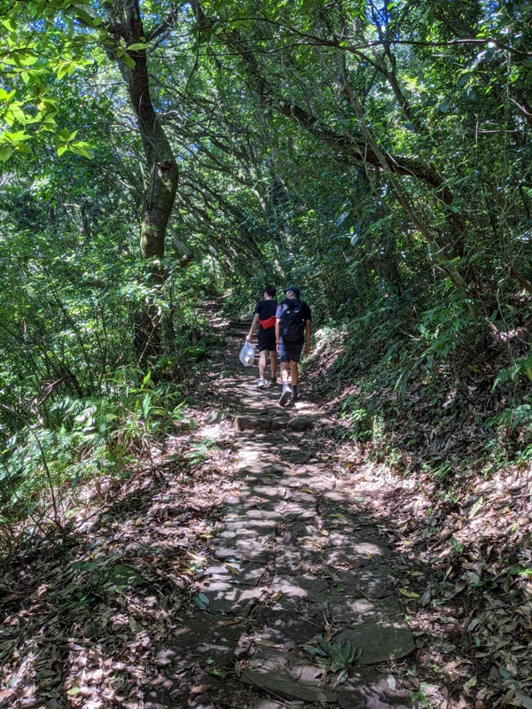 facemountain015813 陽明山-向天池向天山面天山 走一段台北大縱走