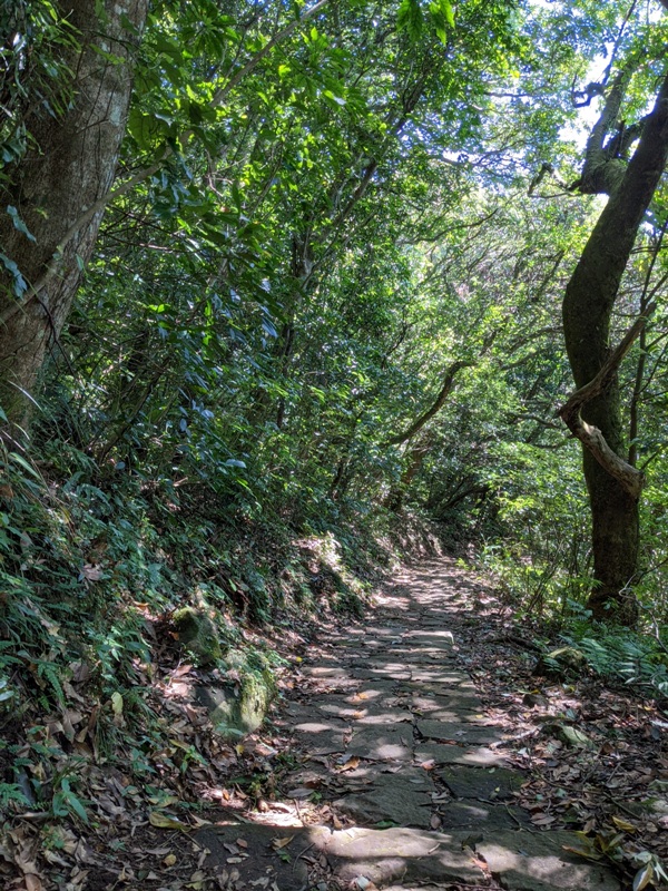 facemountain015814 陽明山-向天池向天山面天山 走一段台北大縱走