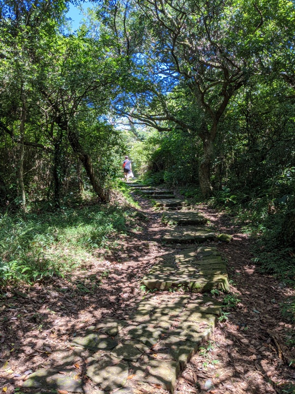 facemountain015816 陽明山-向天池向天山面天山 走一段台北大縱走