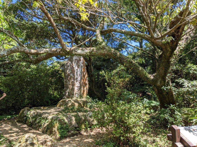 facemountain015817 陽明山-向天池向天山面天山 走一段台北大縱走