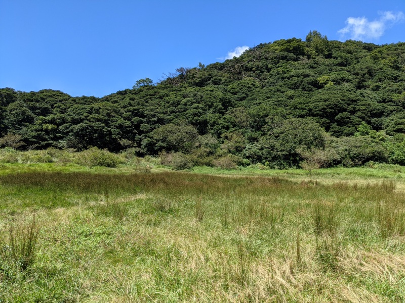 facemountain015819 陽明山-向天池向天山面天山 走一段台北大縱走
