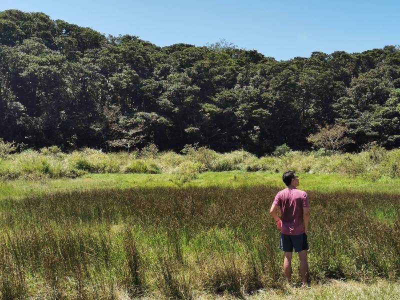 facemountain015820 陽明山-向天池向天山面天山 走一段台北大縱走
