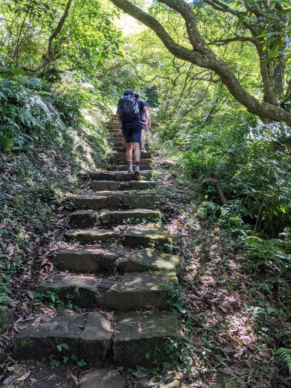 facemountain015824 陽明山-向天池向天山面天山 走一段台北大縱走