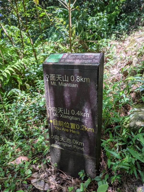 facemountain015825 陽明山-向天池向天山面天山 走一段台北大縱走