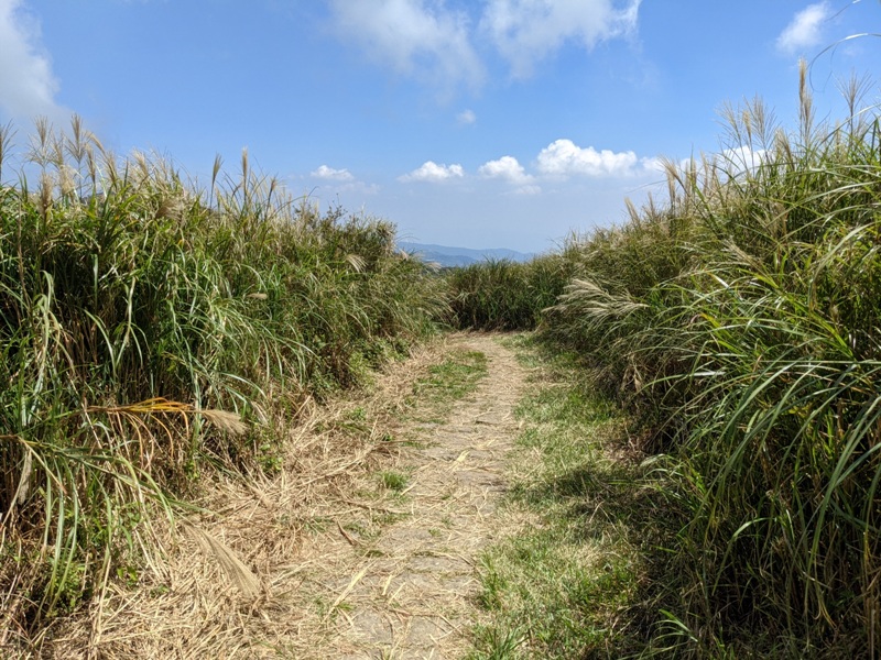facemountain015827 陽明山-向天池向天山面天山 走一段台北大縱走