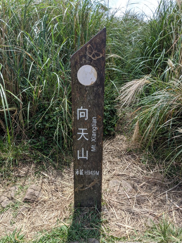 facemountain015829 陽明山-向天池向天山面天山 走一段台北大縱走