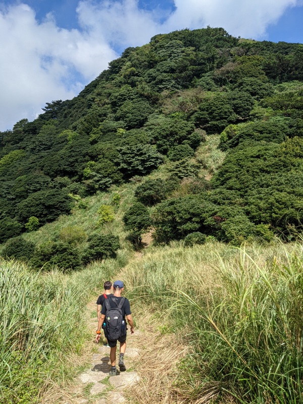 facemountain015833 陽明山-向天池向天山面天山 走一段台北大縱走