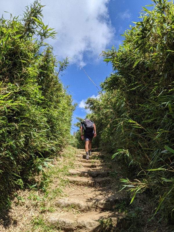 facemountain015834 陽明山-向天池向天山面天山 走一段台北大縱走