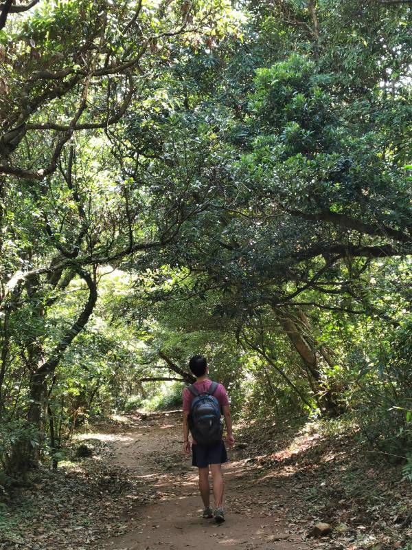 facemountain015843 陽明山-向天池向天山面天山 走一段台北大縱走