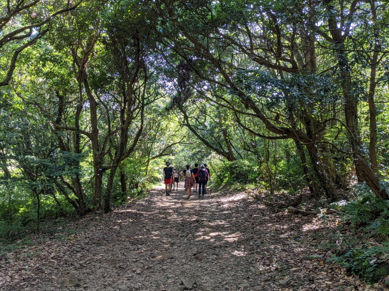 facemountain015844 陽明山-向天池向天山面天山 走一段台北大縱走