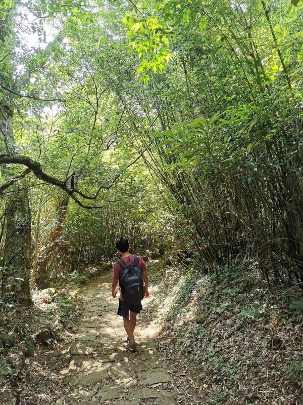 facemountain015848 陽明山-向天池向天山面天山 走一段台北大縱走