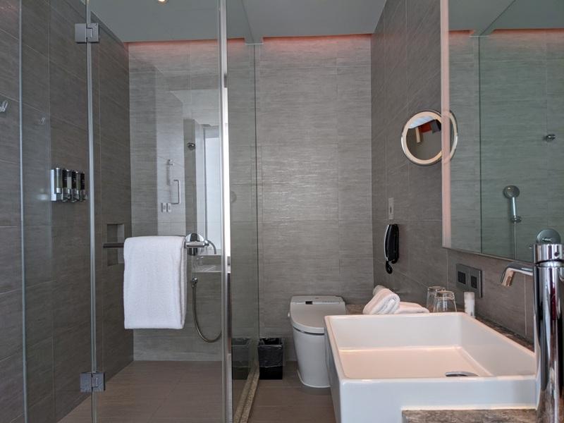 humblehouse0113 信義-寒舍艾麗酒店 與101共游 信義區最美的高空泳池