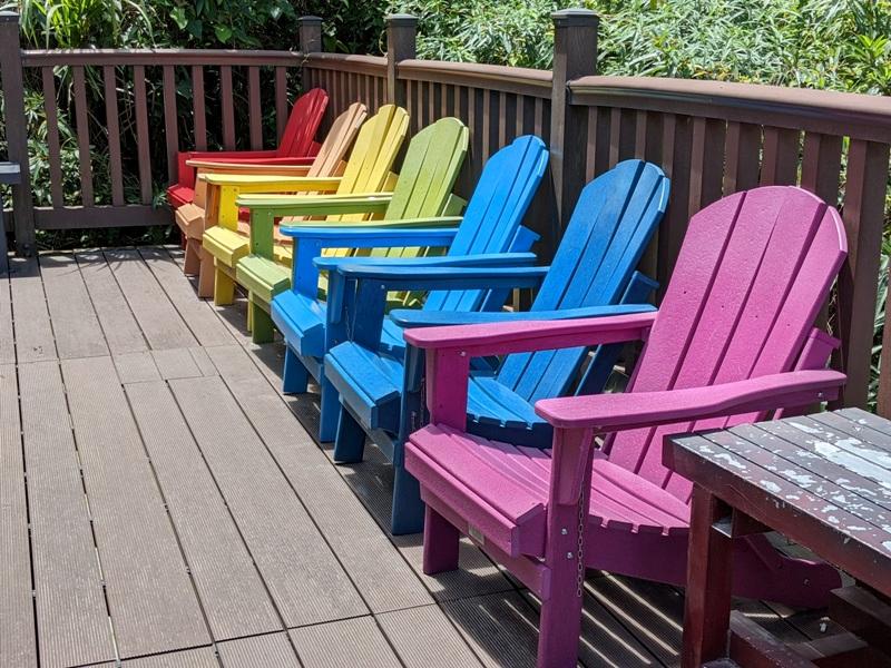 rainbowwaterfall21 信義-沉潛深山的彩色巨龍 雙龍瀑布/七彩吊橋