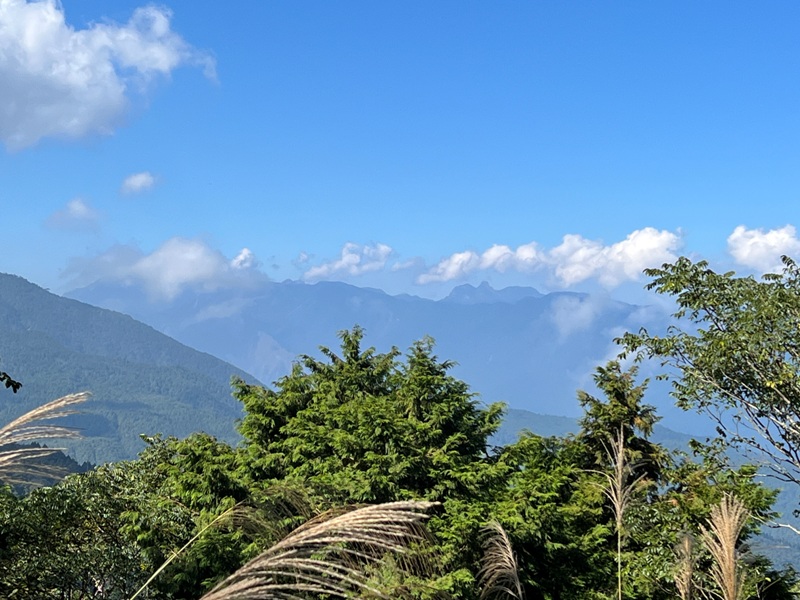 seesunny07 大同-太平山見晴懷古步道 躍上CNN的迷人小徑 輕鬆好入手