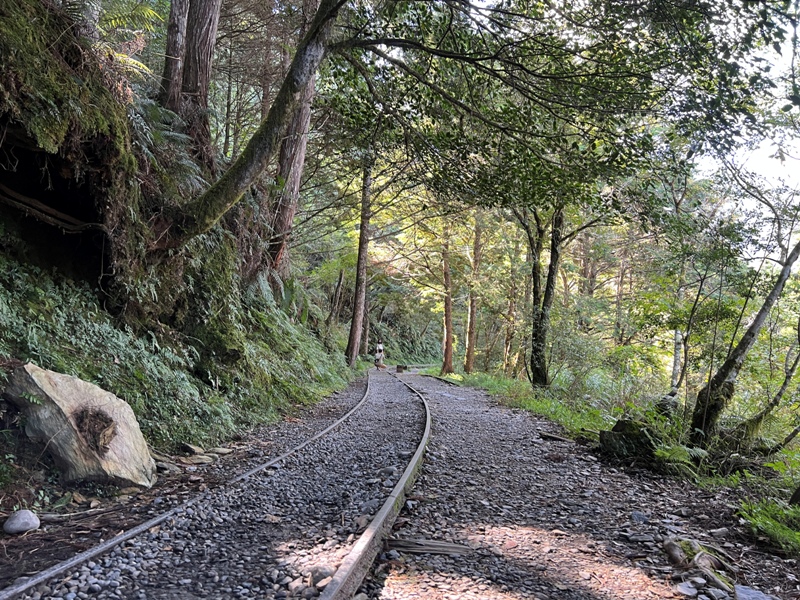 seesunny09 大同-太平山見晴懷古步道 躍上CNN的迷人小徑 輕鬆好入手