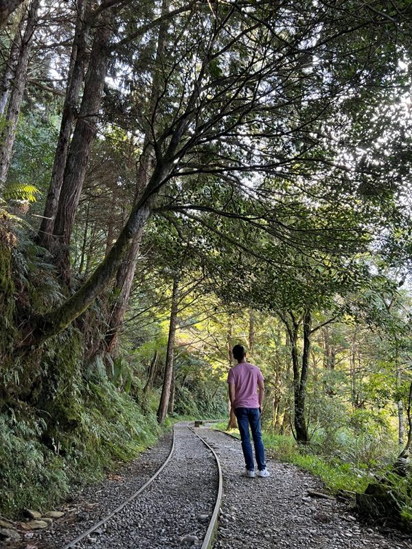 seesunny10-rotated 大同-太平山見晴懷古步道 躍上CNN的迷人小徑 輕鬆好入手