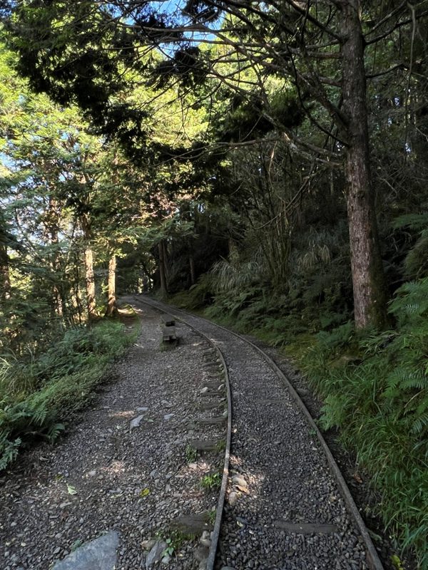 seesunny12-rotated 大同-太平山見晴懷古步道 躍上CNN的迷人小徑 輕鬆好入手