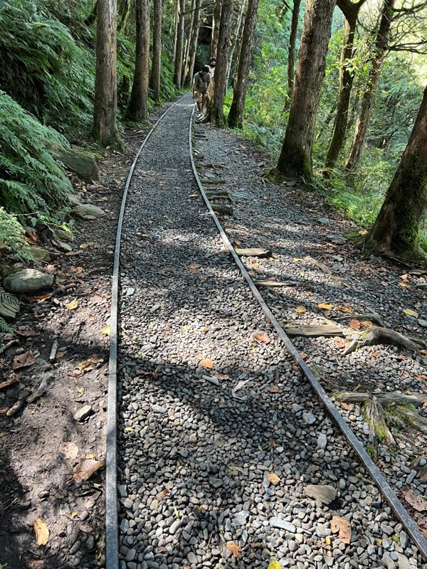 seesunny15-rotated 大同-太平山見晴懷古步道 躍上CNN的迷人小徑 輕鬆好入手