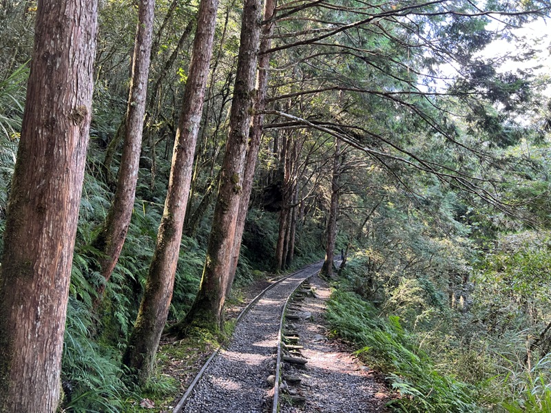 seesunny17 大同-太平山見晴懷古步道 躍上CNN的迷人小徑 輕鬆好入手