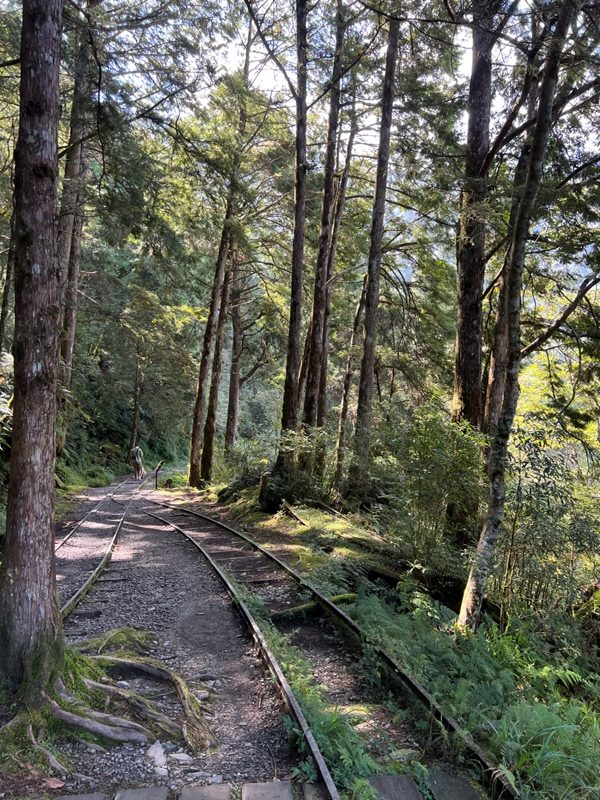 seesunny22-rotated 大同-太平山見晴懷古步道 躍上CNN的迷人小徑 輕鬆好入手