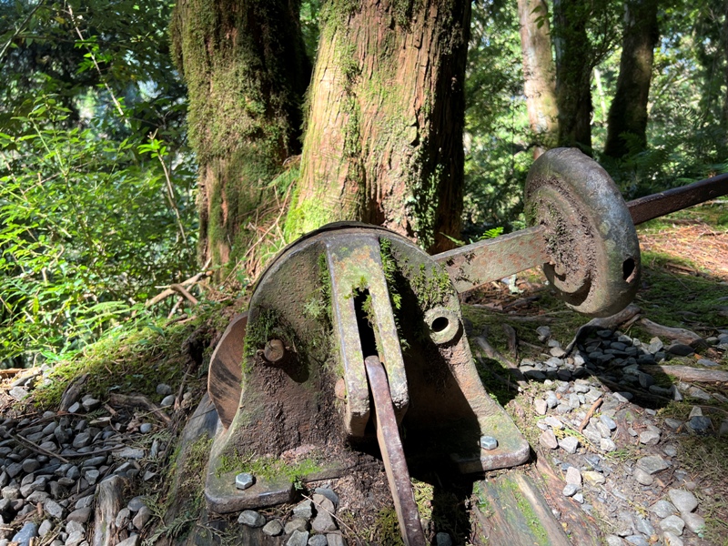 seesunny23 大同-太平山見晴懷古步道 躍上CNN的迷人小徑 輕鬆好入手