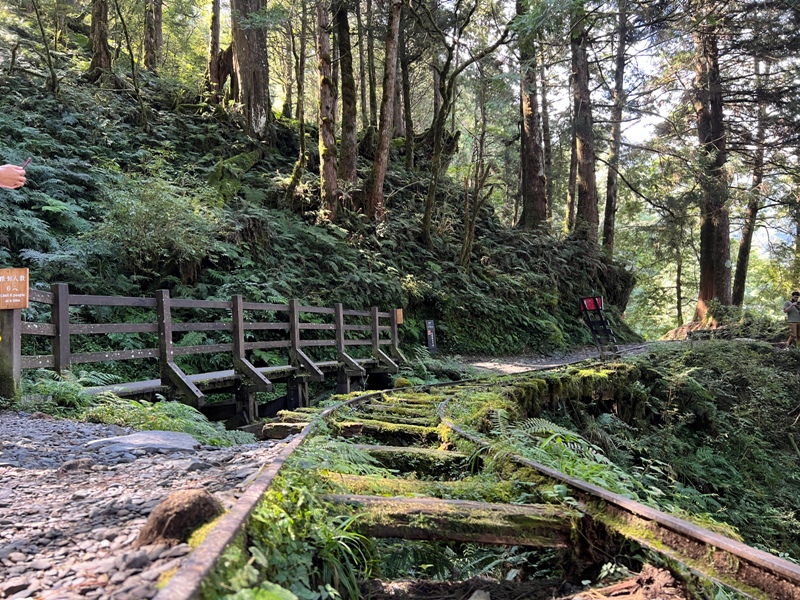seesunny24 大同-太平山見晴懷古步道 躍上CNN的迷人小徑 輕鬆好入手