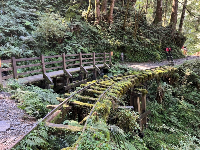 seesunny26 大同-太平山見晴懷古步道 躍上CNN的迷人小徑 輕鬆好入手
