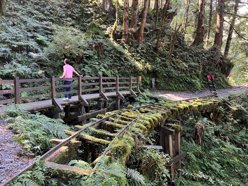 seesunny27 大同-太平山見晴懷古步道 躍上CNN的迷人小徑 輕鬆好入手